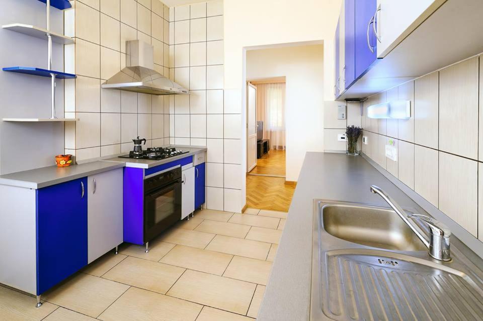 Schiller Apartment - Old Town Сібіу Екстер'єр фото